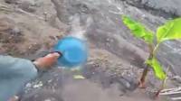 Viral Video Tendang Sesajen di Lokasi Erupsi Gunung Semeru, Banjir Komentar Warganet 