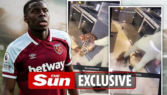 Aniaya Kucing hingga Videonya Viral, Bek West Ham Kurt Zouma Dikecam