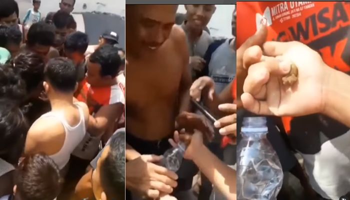 Heboh Warga Tangkap Tuyul di Cirebon Hingga Viral, Ternyata?