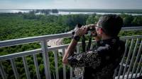 Tower Mangrove Forest Park Langsa, Ikon Pariwisata Baru di Aceh