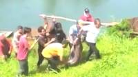 Viral! Warga Pancing Ikan Patin Raksasa di Danau Lido, Netizen Minta Dilepaskan
