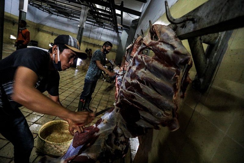 Cegah PMK, Jangan Satukan Daging dan Jeroan dalam Satu Wadah!