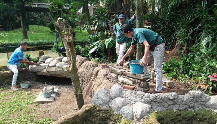Bandung Zoo Bakal Makin Cantik, Pengelola Tengah Perbaiki Kandang Satwa