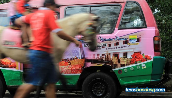 Dampak BBM Naik, Tarif Angkutan Umum di Kota Bandung Ikut Naik, Berikut Rincian Rutenya