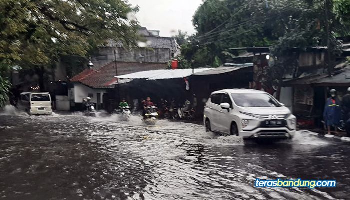 Awas Penyakit Leptospiros yang Umum Terjadi Saat Banjir