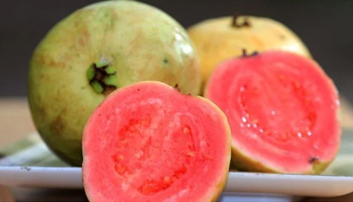 6 Manfaat Luar Biasa Buah Jambu Biji Bagi Kesehatan