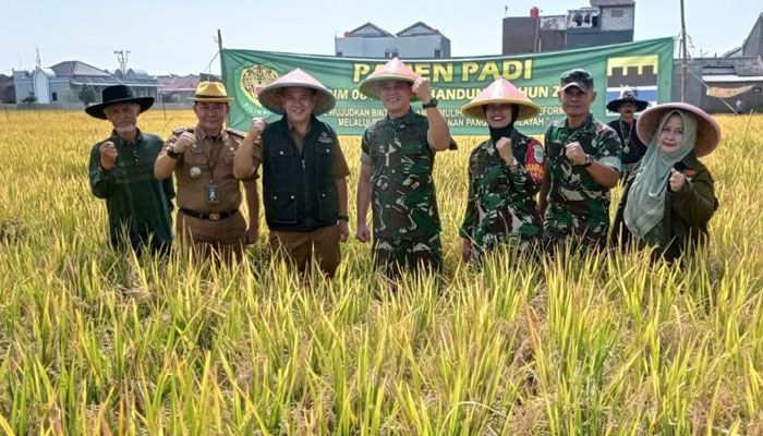Di Tengah Kendala Traktor, Rancasari Panen Raya 7 Ton Beras dari Varietas IP400 