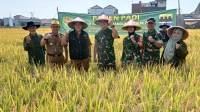 Di Tengah Kendala Traktor, Rancasari Panen Raya 7 Ton Beras dari Varietas IP400 