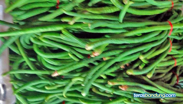 Manfaat Luar Biasa Kacang Panjang Bagi Kesehatan