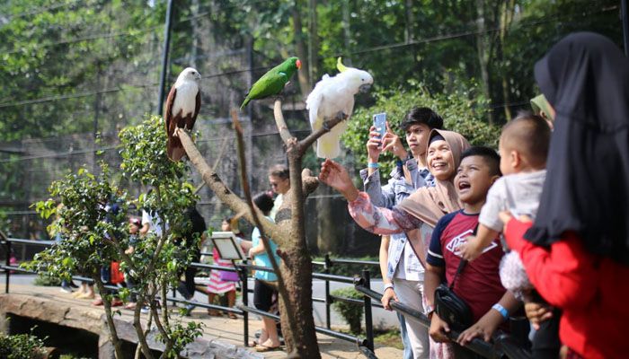 Sah! Sesuai Keputusan Pengadilan Pemkot Bandung Pemilik Lahan Kebun Binatang