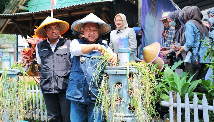 Kok Bisa? Tak Punya Lahan Luas Kota Bandung Bisa Panen Bawang Merah 1,5 Ton, Begini Ceritanya