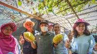 Manfaat Program Buruan Sae di Kota Bandung Semakin Terasa, Kini Hasir di Komplek Elit