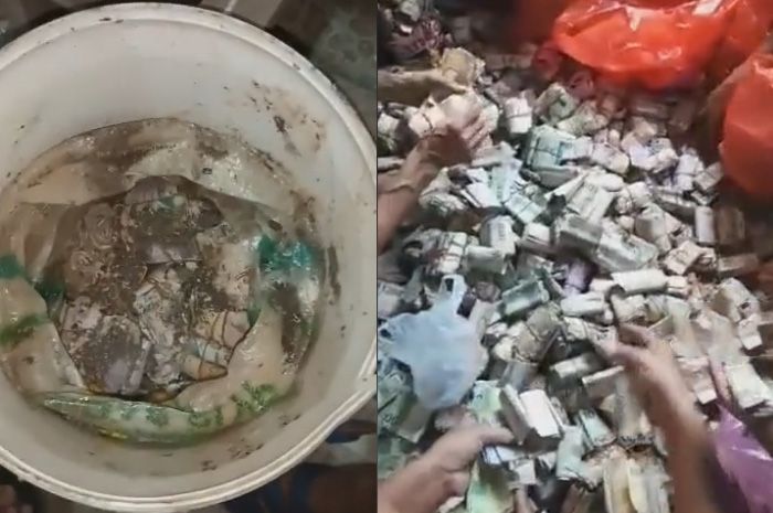 Harta Karun Bapak Tua Berupa Uang Dalam Karung, Netizen: Mendadak Banyak Saudara