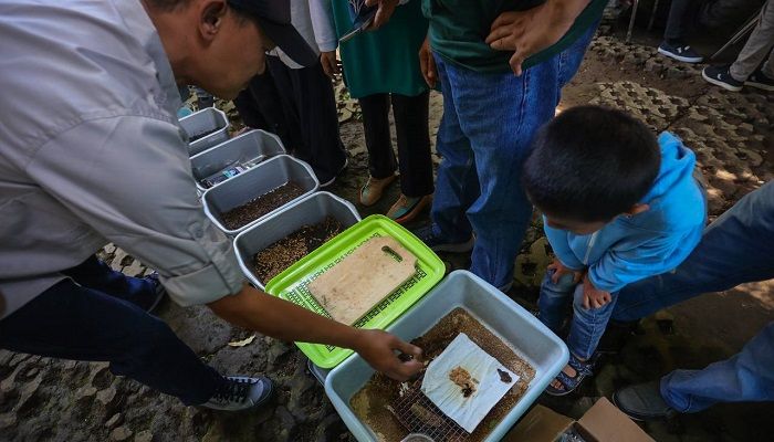 Kenali 7 Metode Komposter Olah Sampah Organik di Rumah