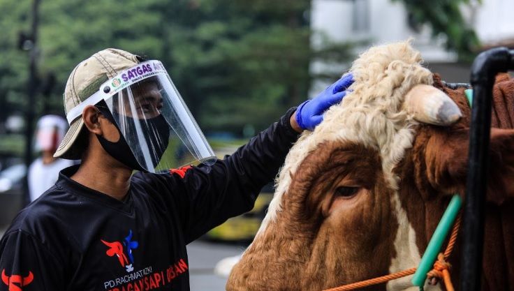 Jelang Iduladha 144H, DKPP Kota Bandung Pastikan Telah Vaksin 1.369 Hewan Kurban