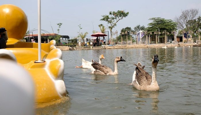Pengin Liburan tapi Dana Pas-pasan? Yuk ke Tepi Kota Healing! 
