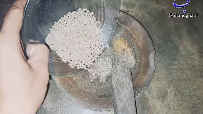 Tutorial Cara Membuat Semprotan Pembasmi Cicak Hanya dengan 1 Bumbu Dapur, Ampuhnya Kelewatan!
