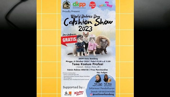 Catat Waktunya! Lomba Fashion Show Kucing Bakal Digelar di Kota Bandung