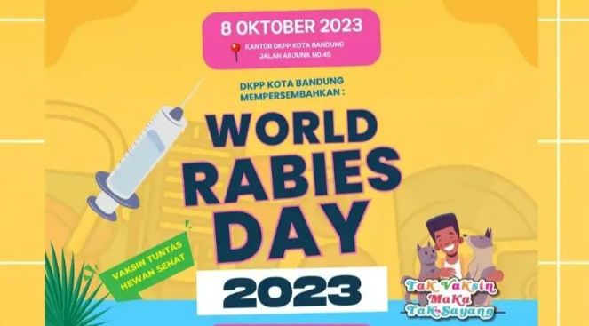 Catat! Lomba Fashion Show Kucing Bakal Digelar di Kota Bandung