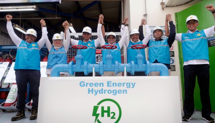 Resmikan Plant Pertama di Indonesia, Kementerian ESDM: PLN Miliki Cara Paling Cepat Hasilkan Green Hydrogen