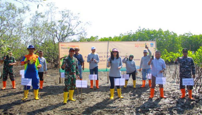Danamon Peduli Tanam Lima Ribu Pohon Mangrove di Pangandaran