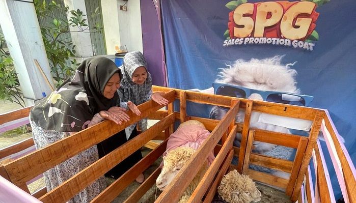 Sambut Iduladha, Ethica dan Rumah Qurban Gelar Kontes Foto Unik