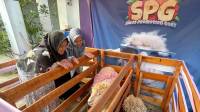 Sambut Iduladha, Ethica dan Rumah Qurban Gelar Kontes Foto Unik
