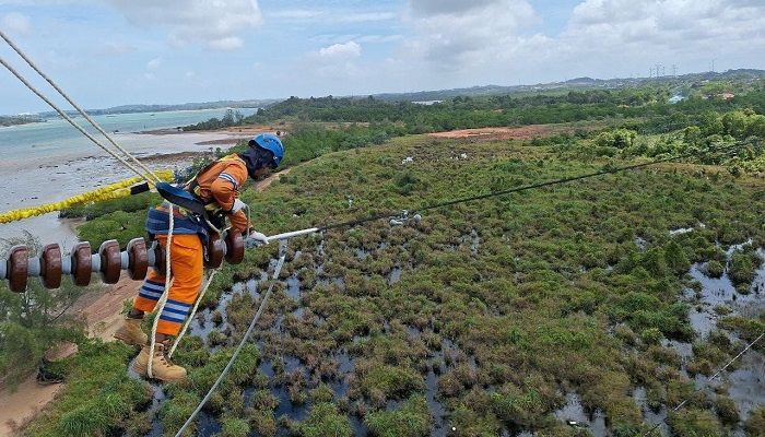 Wujud Kontribusi ke Negara, PLN Setor Rp65,59 Triliun Lewat Dividen, Pajak, dan PNBP