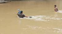 Penghulu di Pasaman Bertaruh Nyawa, Nekat Berenang Seberangi Sungai Demi Nikahkan Warga 