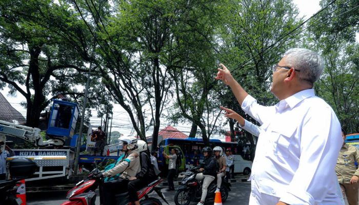 Pemkot Bandung Pangkas Pohon di Supratman dan Riau untuk Mitigasi Bencana dan Optimalisasi PJU