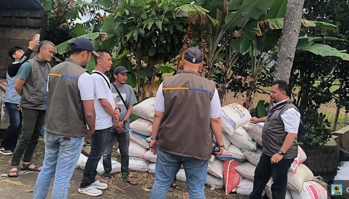 Perum BULOG Kancab Bandung Perkuat Penyerapan Gabah Kering Panen (GKP) di Awal 2026