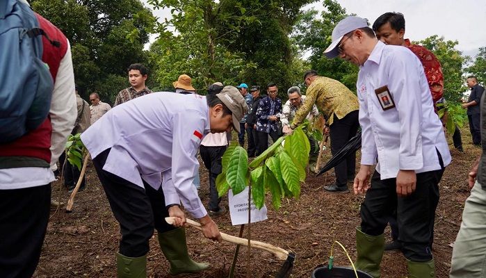OJK Jabar Dukung Revitalisasi Lahan Kritis melalui Pengembangan Kakao Berkelanjutan