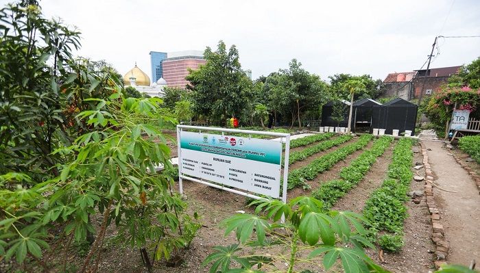 Kolaborasi 13 RW, KTM Cibangkong Jadi Percontohan Pertanian Perkotaan