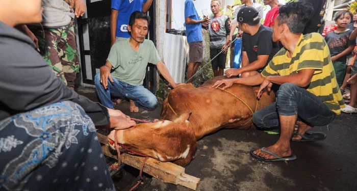Iduladha di Bandung Berjalan Khidmat, Lebih dari 18 Ribu Hewan Kurban Dipastikan Sehat