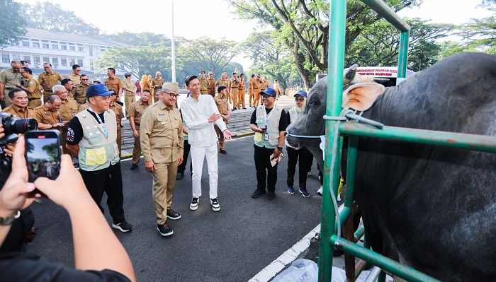 Pemkot Kerahkan 184 Petugas, Pastikan Hewan Kurban Sehat hingga Hari Tasyrik