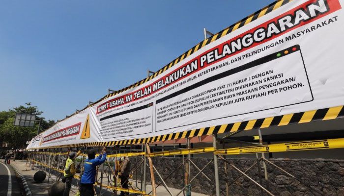 Ada Denda Rp100 Juta dan 1.000 Bibit, Begini Kelanjutan Kasus Pohon di Bandung