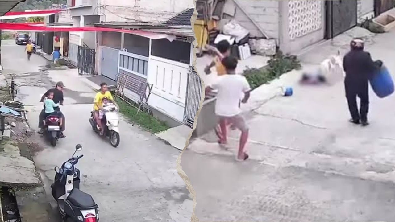 Nasib Anjing Pitbull yang Serang Bocah 9 Tahun di Bandung, Kini Dikarantina