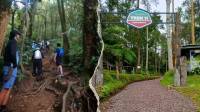 Wisata Asyik dan Sehat, Trekking di Sukawana Bandung Barat Bisa Jadi Pilihan Akhir Pekan