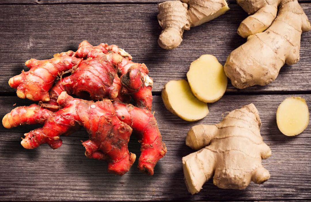 Perbedaan Khasiat Jahe Merah dan Jahe Biasa untuk Kesehatan, Mana yang Lebih Baik?